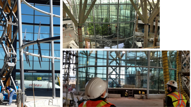 Compilation of Site Photos Showing Various Stages of Construction